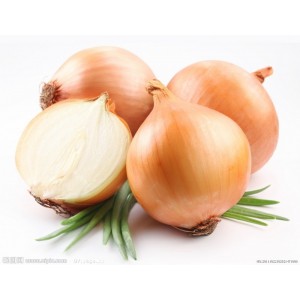 onion machine