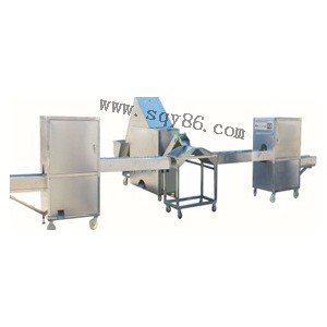 Onion Processing Line Equip