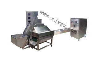 Automatic onion peeling and root cutting in one line machine (Play 1298)