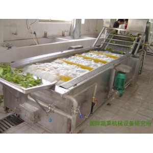 vegetables washing machine