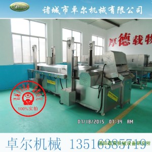 frying production line