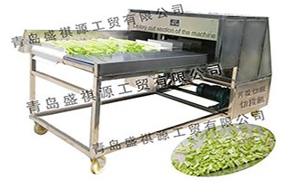 Vegetable/celery cutter machin (Play 925)