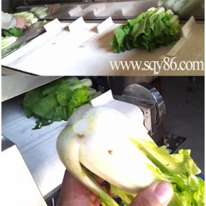 Pakchoi/cabbage root cutter
