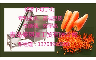 Carrot cube dicing machine (Play 759)