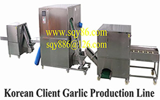 Garlic production line (Play 725)