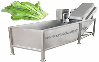 Vegetable Bubble Washer Equip (Play 692)