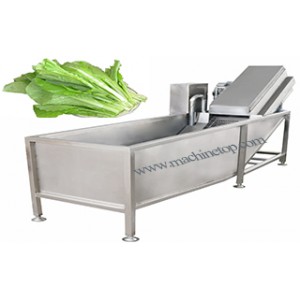High quality vegetable washing