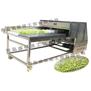Supply vegetables cut machine