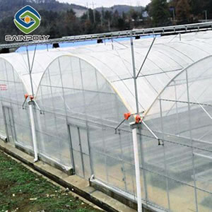 Agricultural/Commercial Plastic Greenhouse