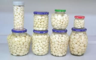 Spanish Garlic Cloves Sorter